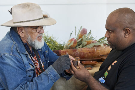 Expressions of Interest open: Aboriginal Water and Environment Advisory Group (WA)